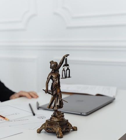 Полное сопровождение банкротства с минимальной стоимостью и минимальными рисками в суде РФ